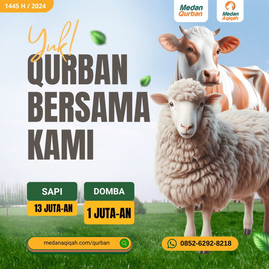 kambing aqiqah qurban medan